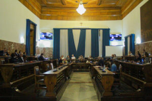 Consiglio comunale Messina (6)