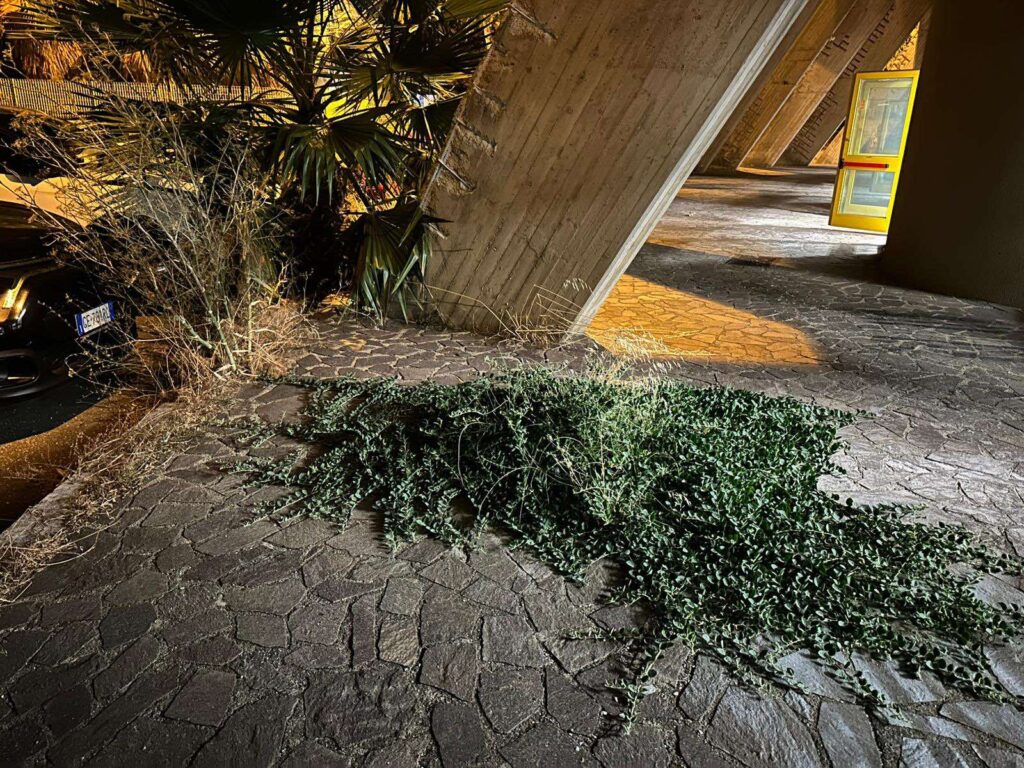 Degrado PalaCalafiore