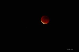 Eclissi di Luna