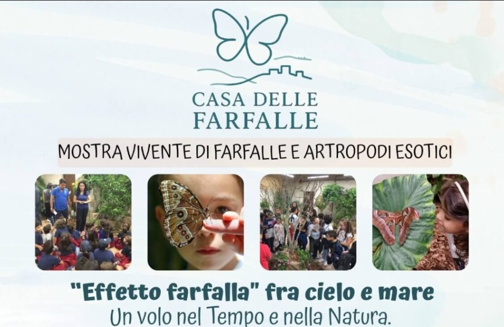 Evento Farfalle Reggio Calabria