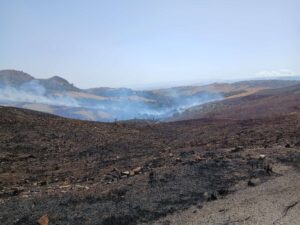 Incendio Coldiretti Calabria 2