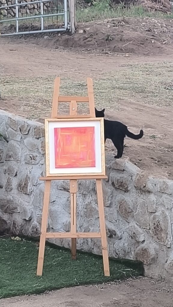 Opere Marzia Cotroneo