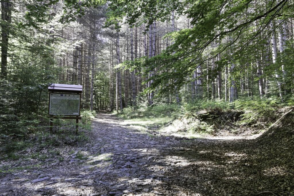 Petraia i Melia - Pietra Tagliata