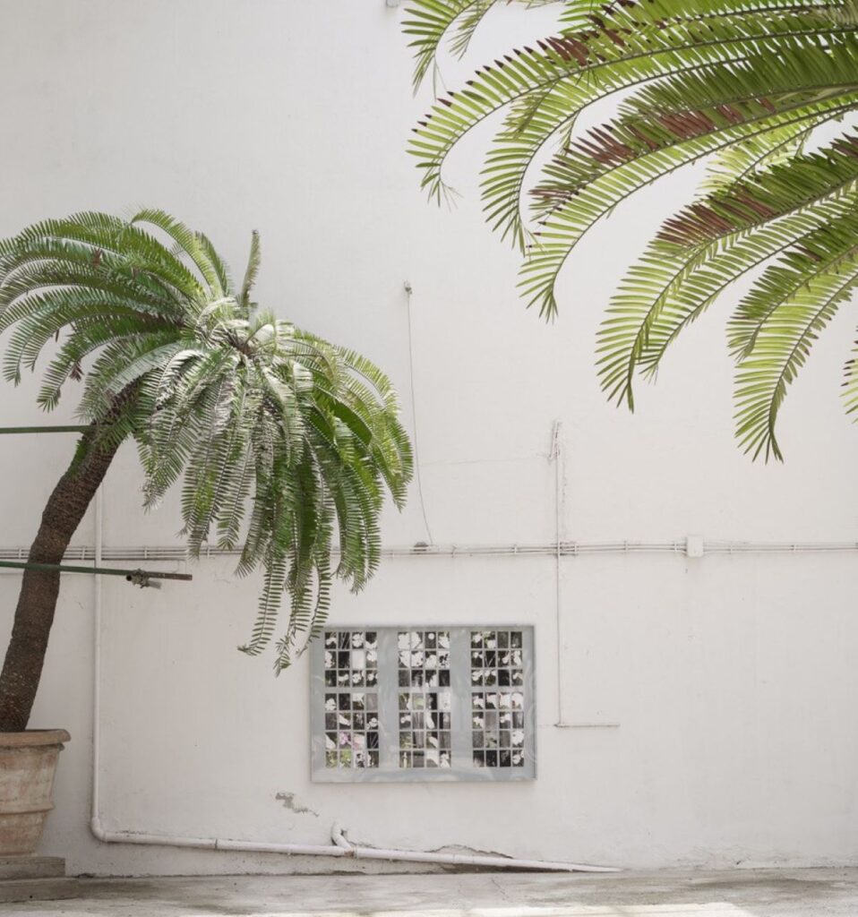 Roberto Orlando, Manuale, Orto Botanico Giardino dei Semplici, Firenze, installation view 1