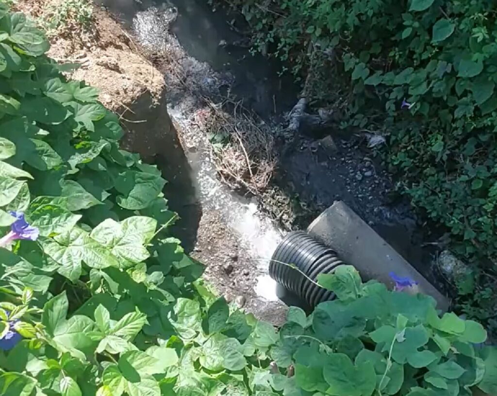 Sversamenti fiume Messina