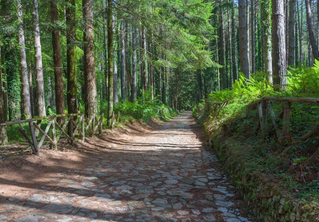 'U pracusu di Trippa Cotta