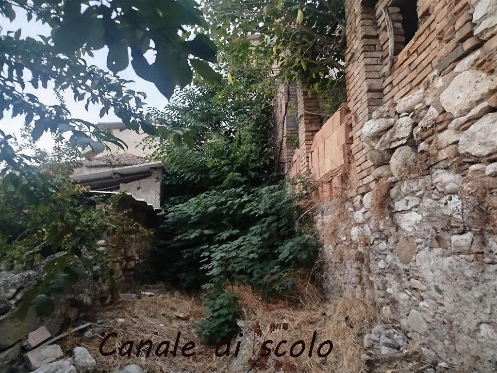 alberi pericolosi sulla ss 106 a lazzaro