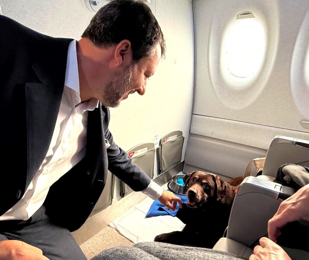 cani sugli aerei matteo salvini