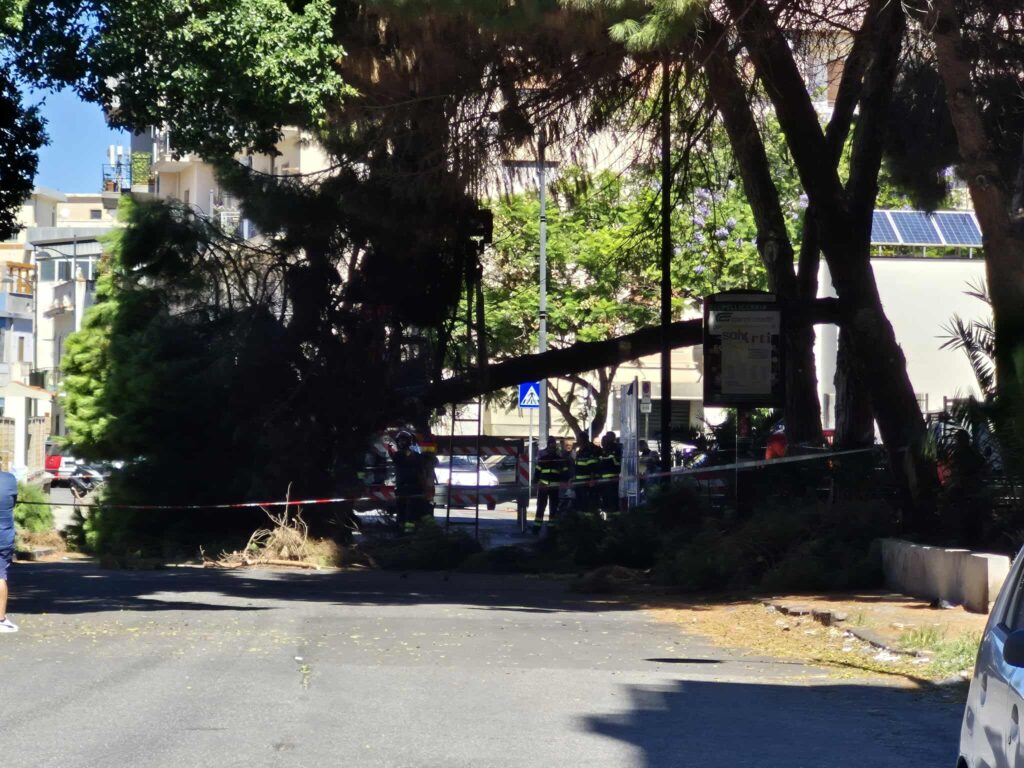 crollo albero via san giuseppe