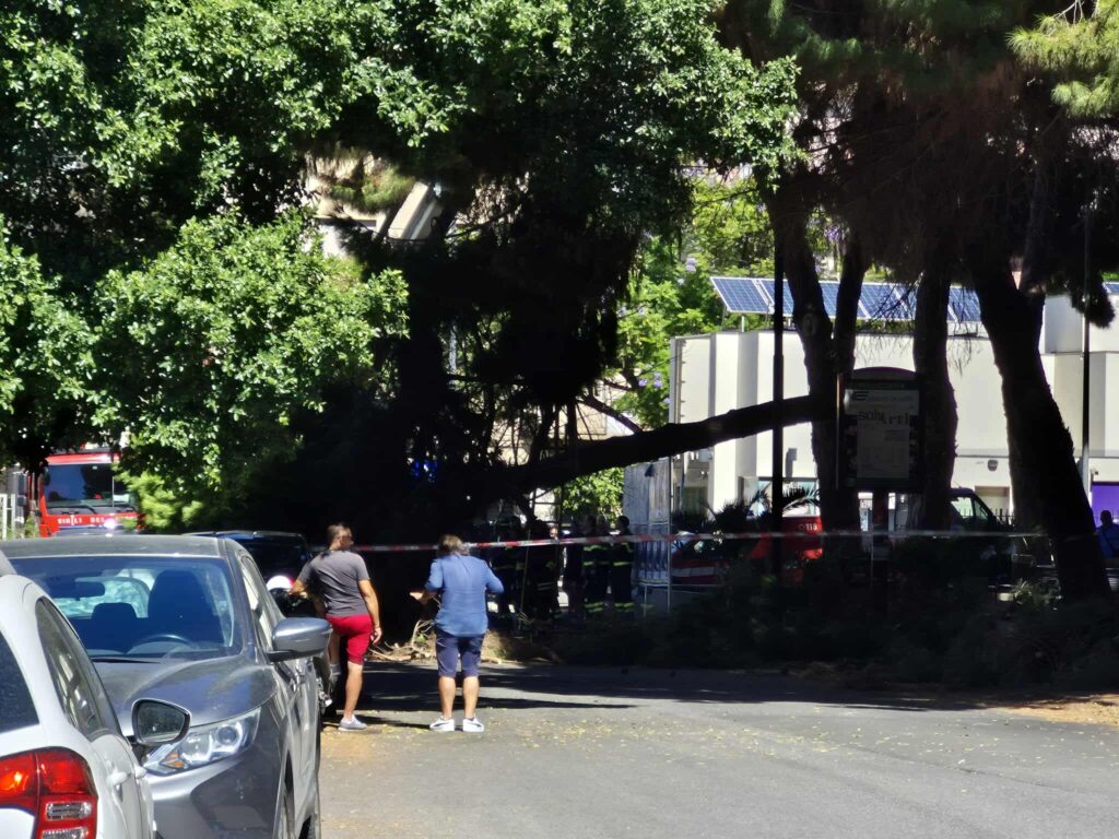 crollo albero via san giuseppe