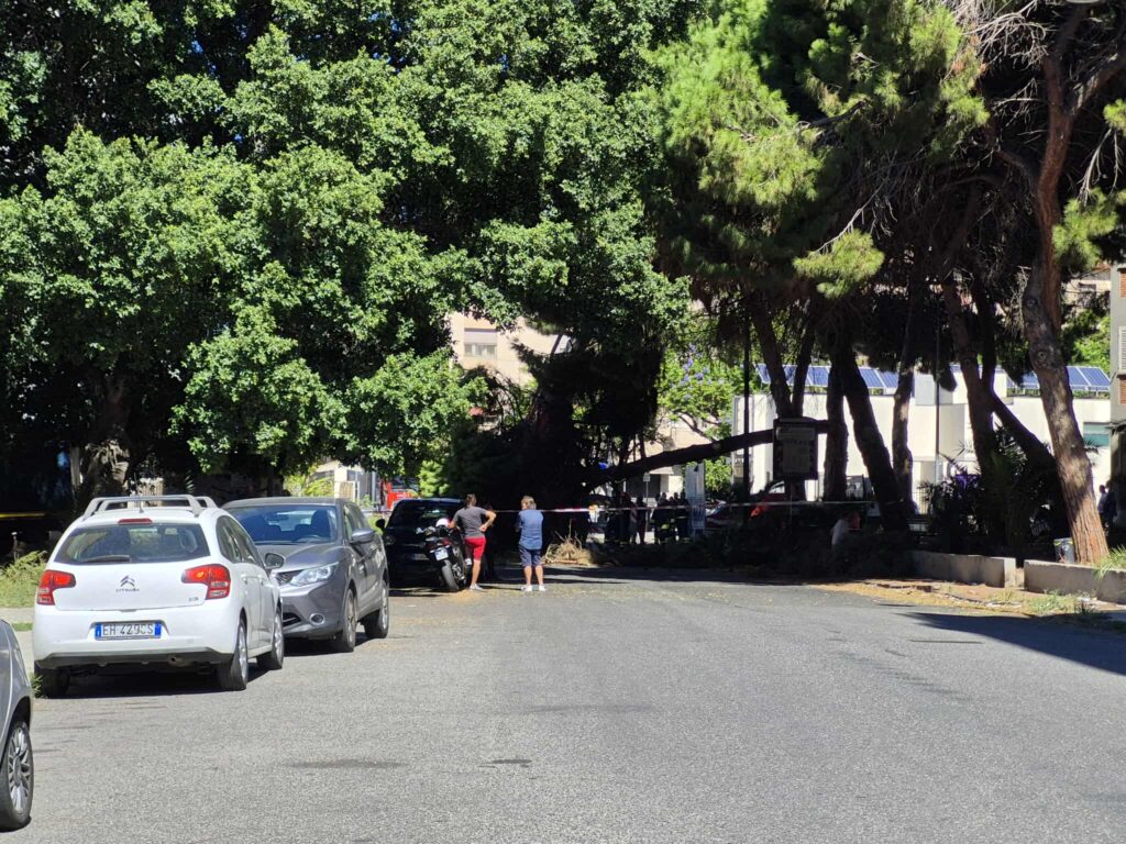 crollo albero via san giuseppe