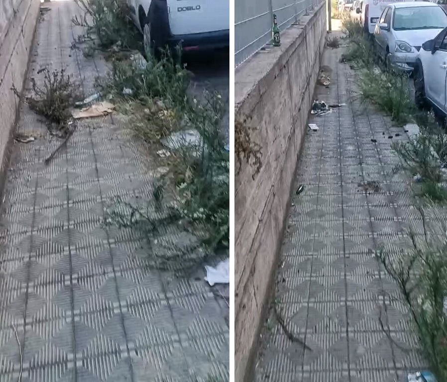 erbacce vicino al morelli