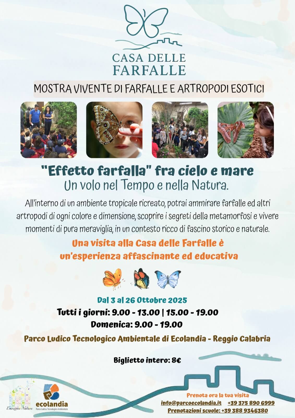 evento farfalle