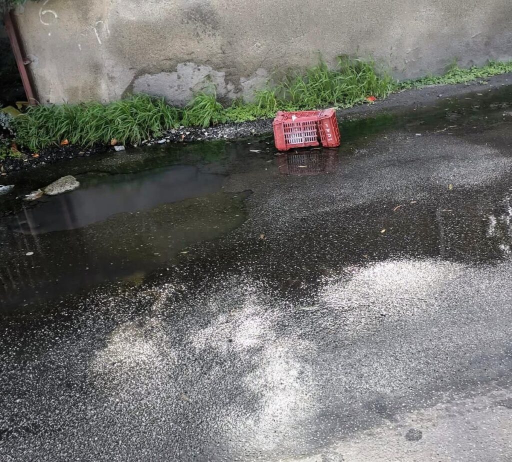 ex mattatoio di Pellaro