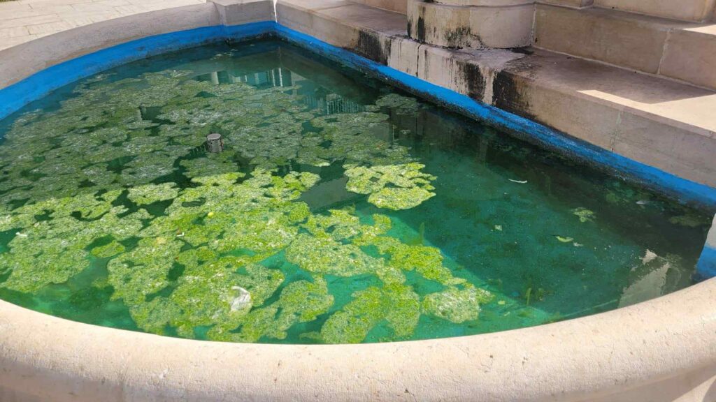 fonatana piazza de nava sporca
