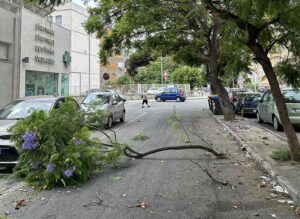 ramo crollato in via san giuseppe