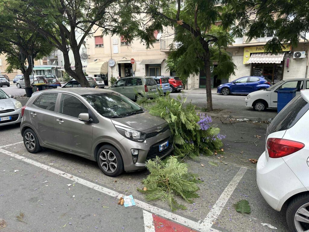 ramo crollato in via san giuseppe