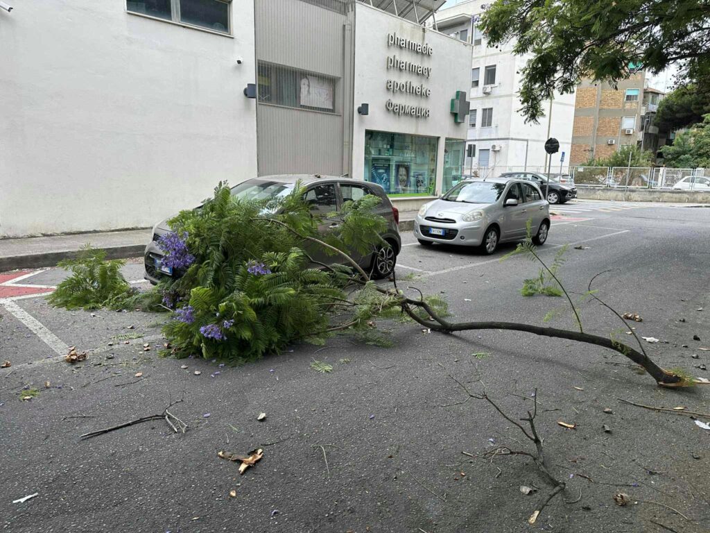 ramo crollato in via san giuseppe