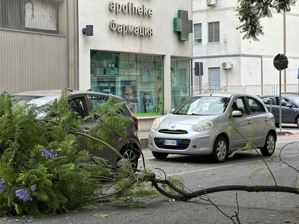 ramo crollato in via san giuseppe