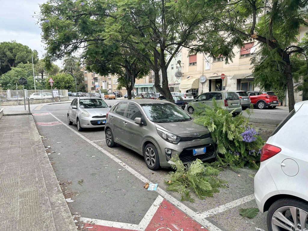 ramo crollato in via san giuseppe