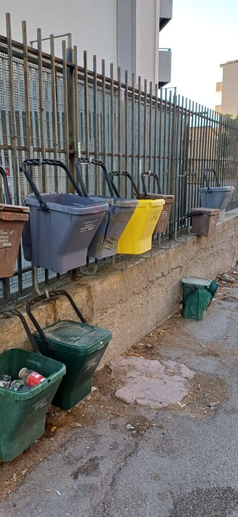 rifiuti raccolti vico ferruccio