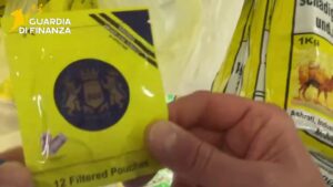 tabacchi Gutka” e “Snus