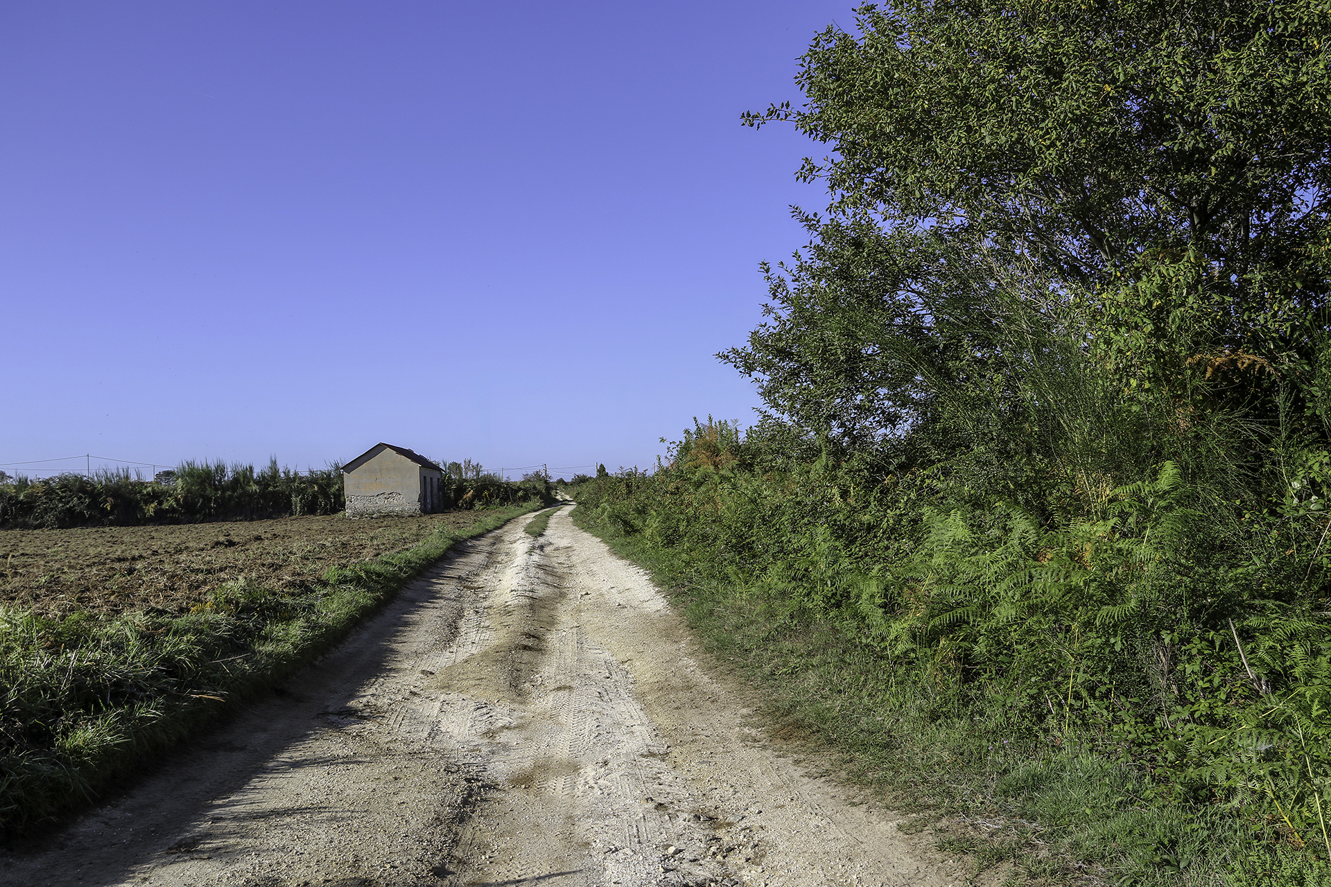 ‘A strata di Carri i Solano