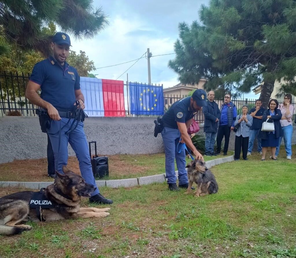 Giocando con le regole scuola lazzaro