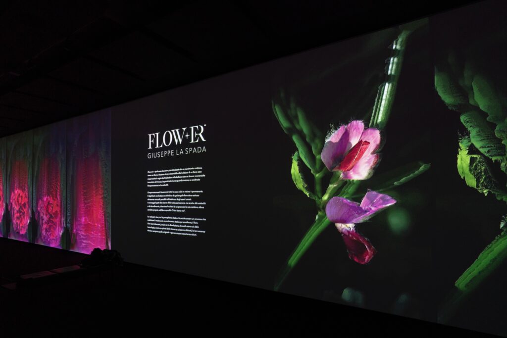 la spada flower