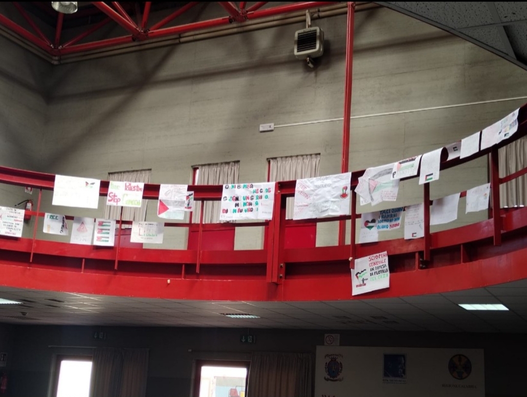 Liceo Zaleuco Locri manifestazione ProPal