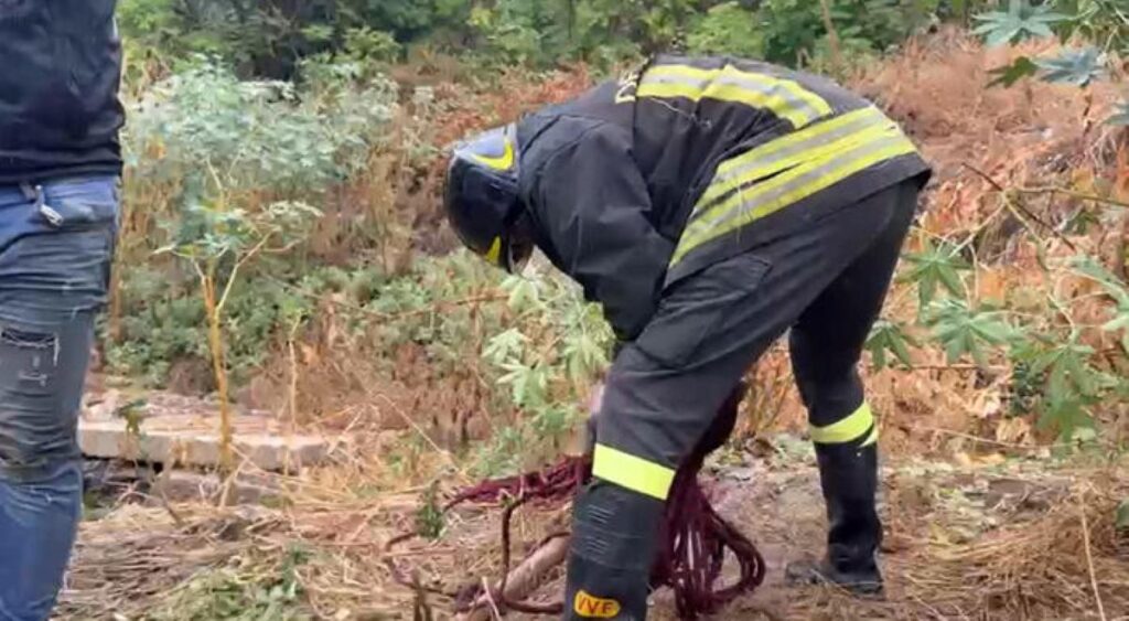 Nubifagio Agrigento 2