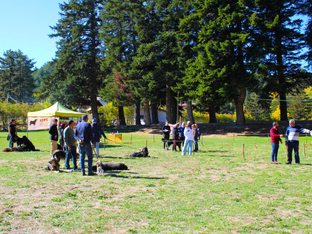 Raduno cane da pastore della Sila
