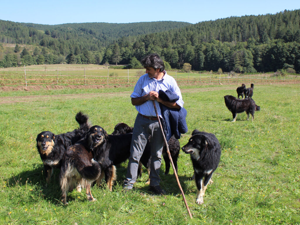 Raduno cane da pastore della Sila
