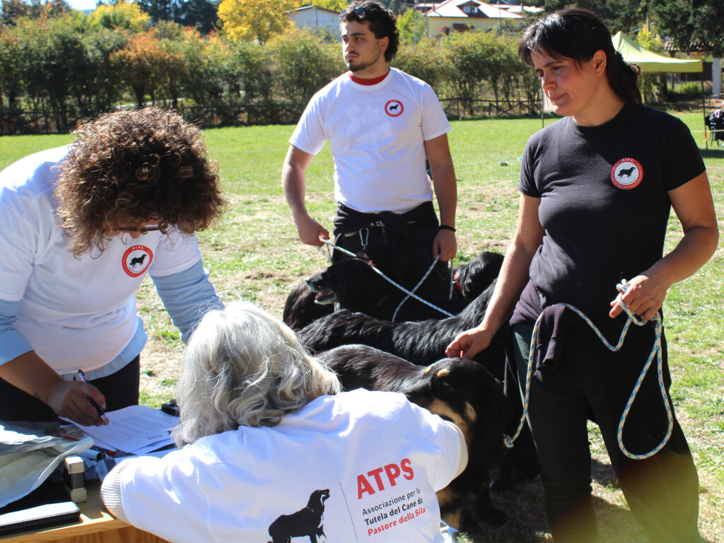 Raduno cane da pastore della Sila