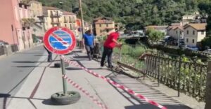 Tortorici