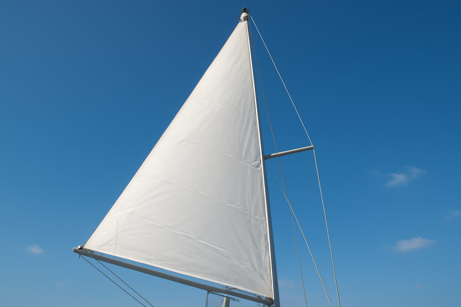 Vela