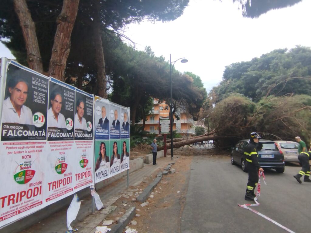 albero caduto via sbarre
