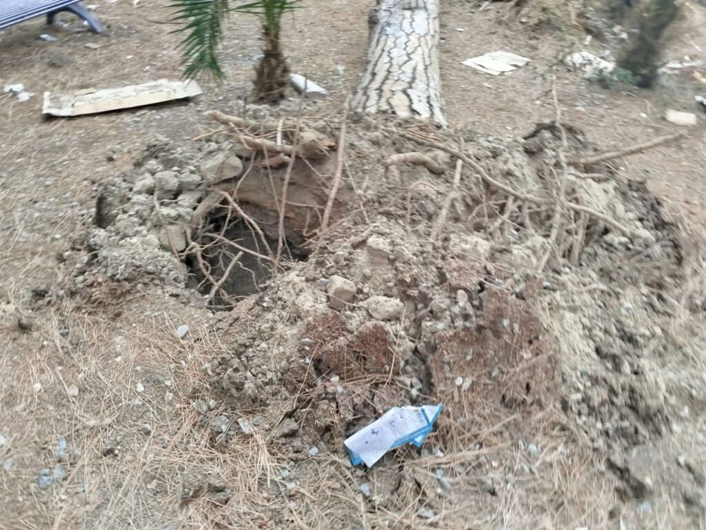 albero caduto via sbarre