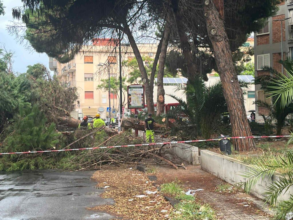 albero crollato sbarre