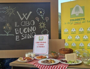 alimentazione