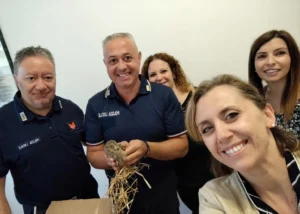 assiolo salvato a marina di gioiosa