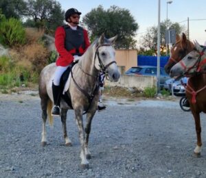 caccia alla volpe a cavallo