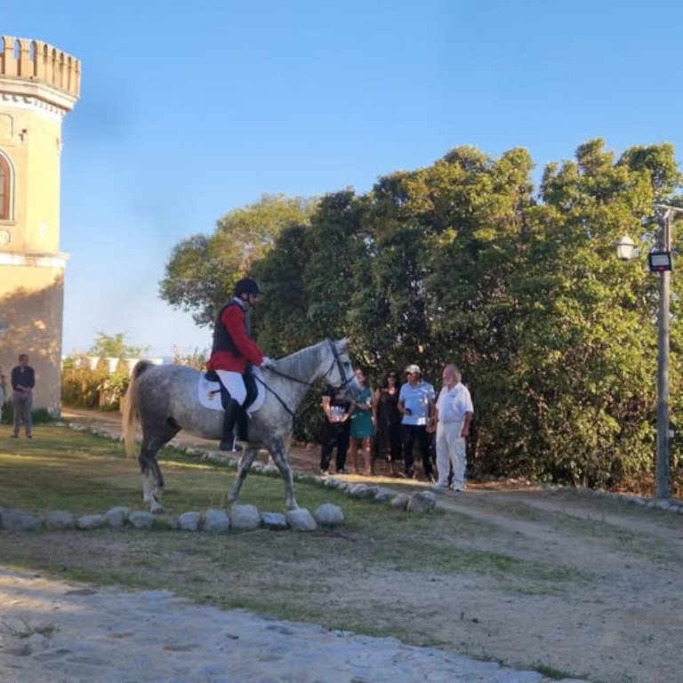 caccia alla volpe a cavallo