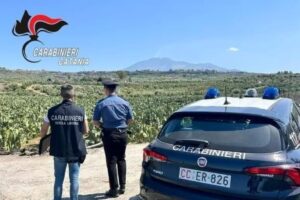 carabinieri catania