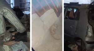 degrado, sporcizia e ratti morti al rione marconi