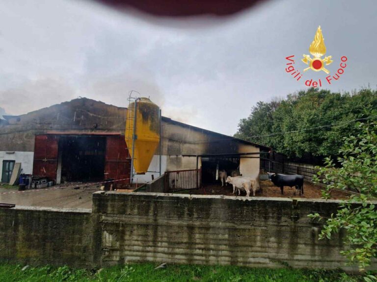 incendio catanzaro maltempo