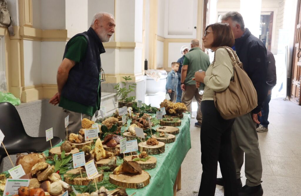 mostra micologica con varie specie di funghi