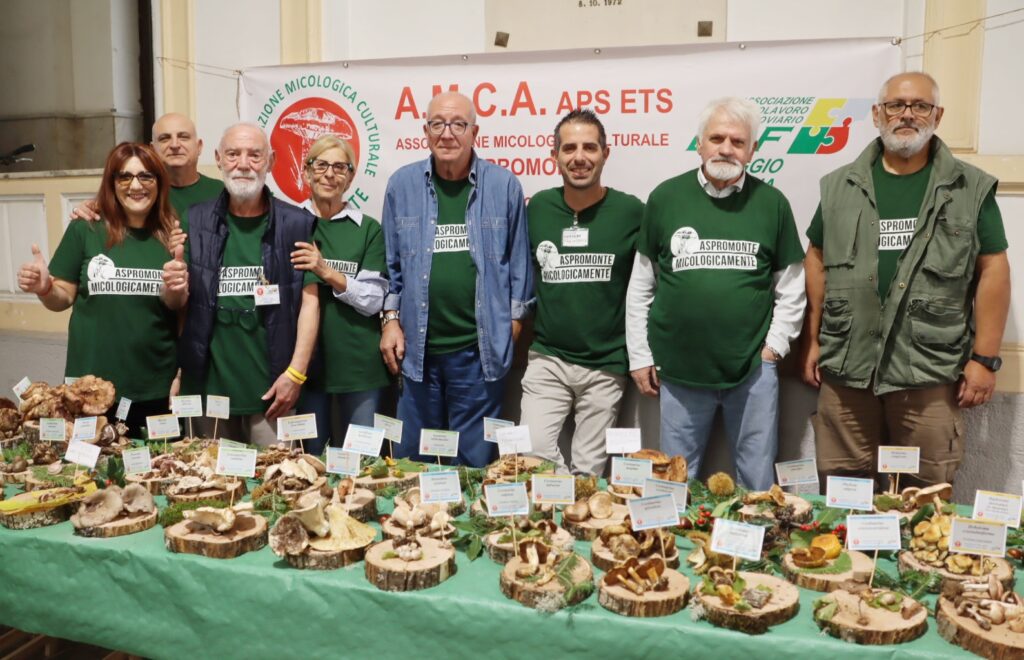 mostra micologica con varie specie di funghi