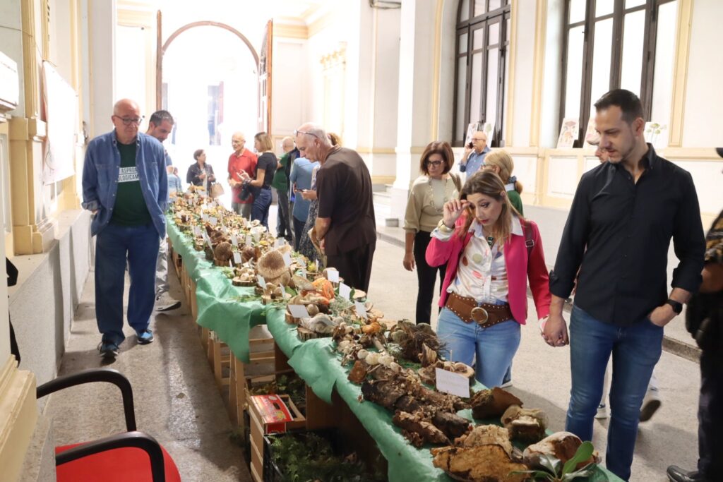 mostra micologica con varie specie di funghi