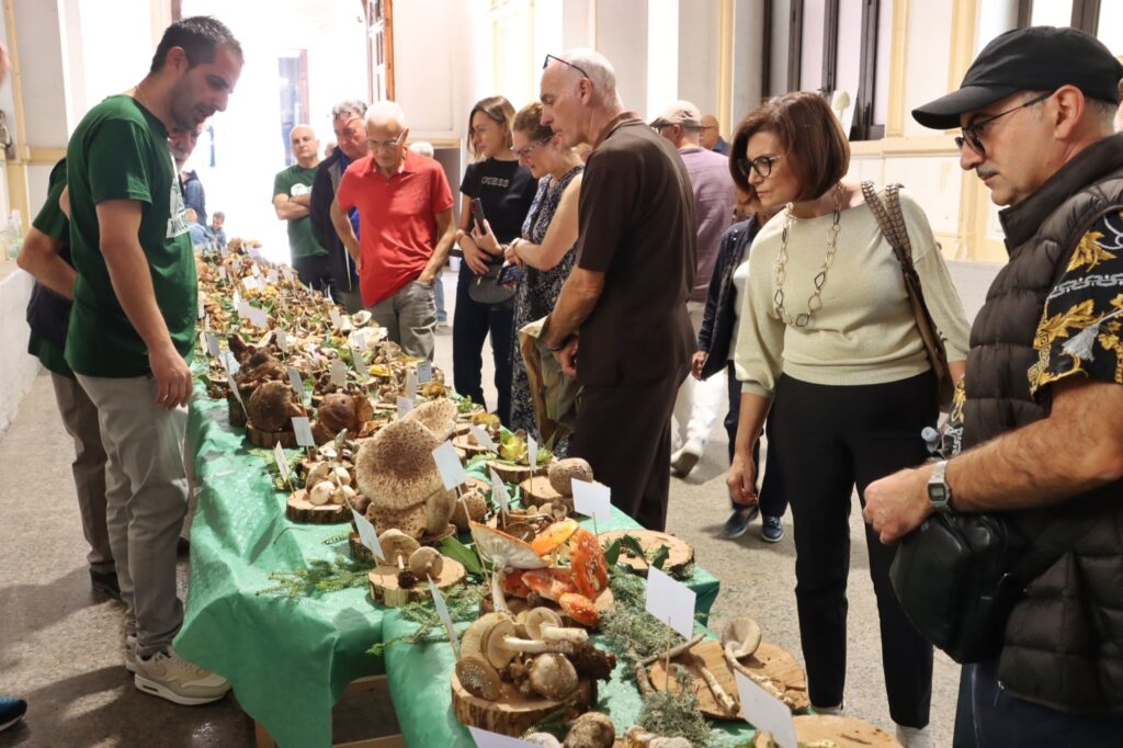 mostra micologica con varie specie di funghi